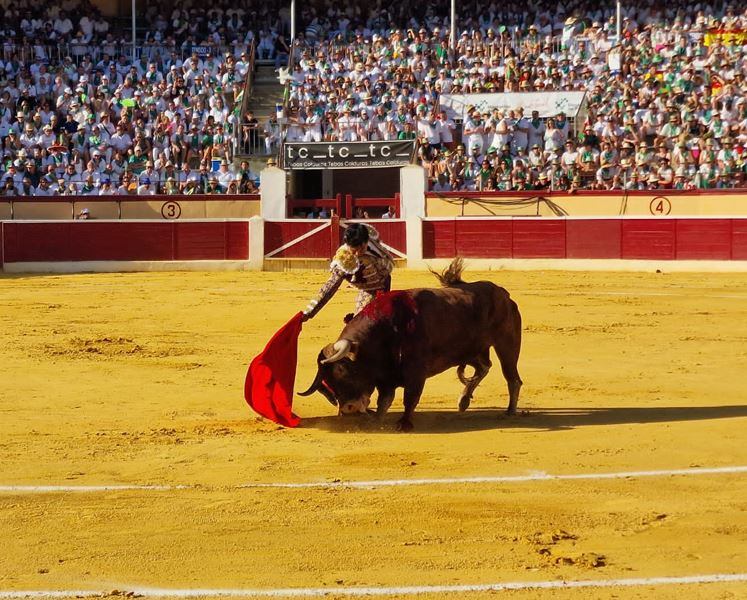 Joselito Adame sustituirá a Cayetano este sábado