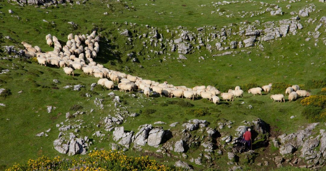 La sierra de Gipuzkoa un 15 de agosto.