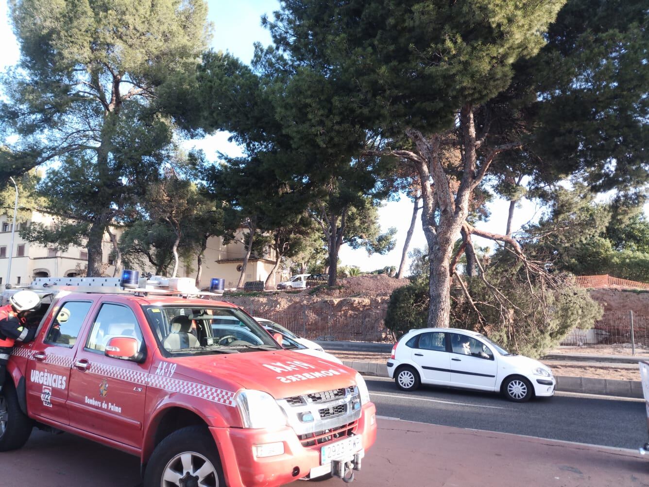 Incidencia viento Palma 17/01/23. Cadena SER