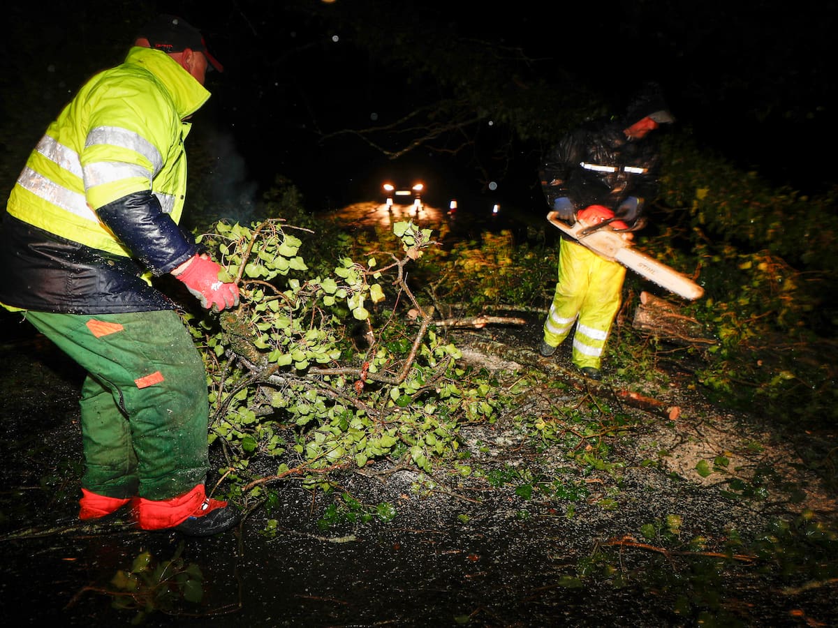 Vuelve a escuchar el resumen de una semana marcada por una sucesión de borrascas que dejan cientos de incidencias
