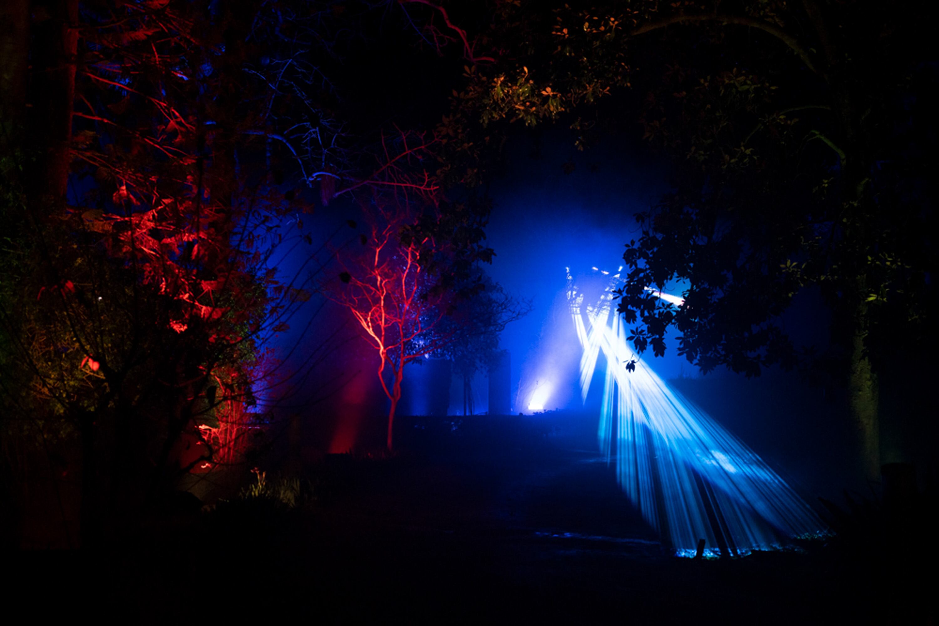 Naturaleza Encendida. Alcázar de Sevilla/Pepo Herrera