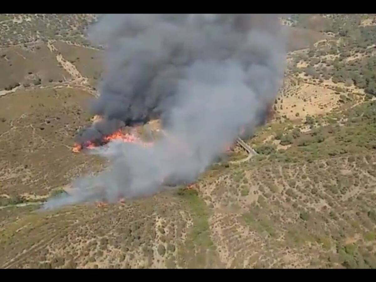 Controlado el incendio forestal en El Madroño