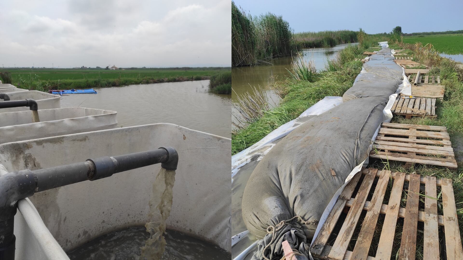 Imágenes del Sistema Integral de Succión de Materiales de Agua (SISMA) durante el ensayo realizado en la Albufera de València