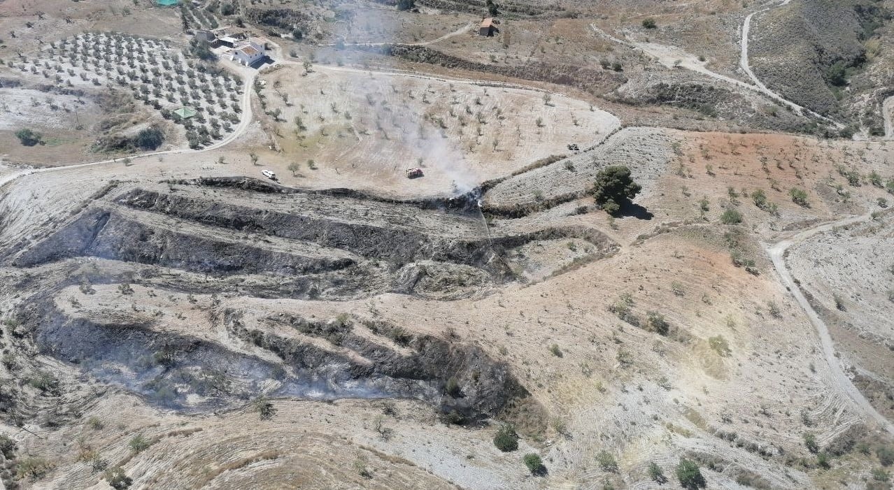 Incendio de cañas y matorral en la pedanía lorquina de Morata