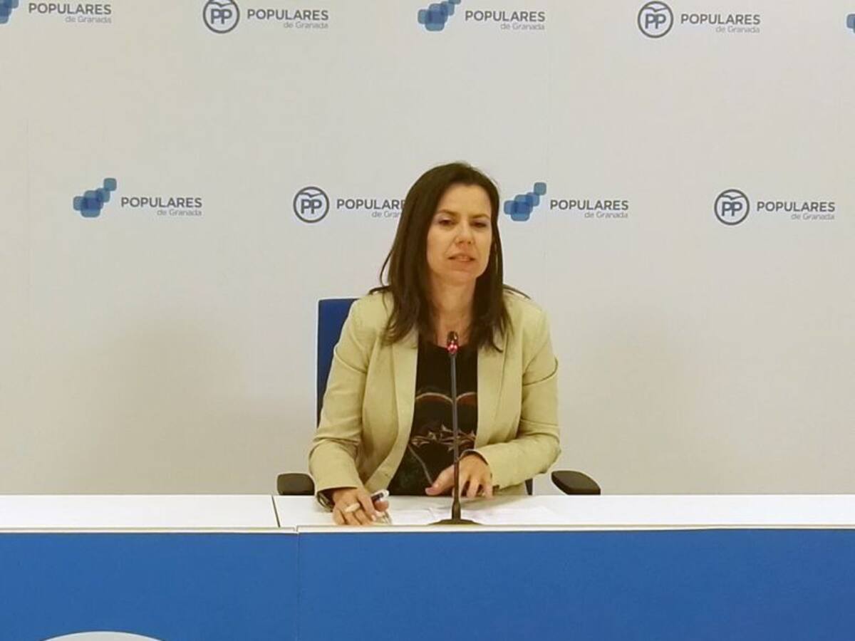 El PP pide a la Junta que audite las cuentas del metro