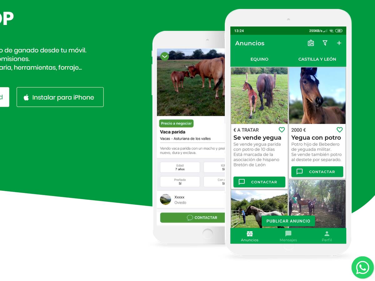 Vacapop: la aplicación de compraventa de animales que triunfa entre los ganaderos
