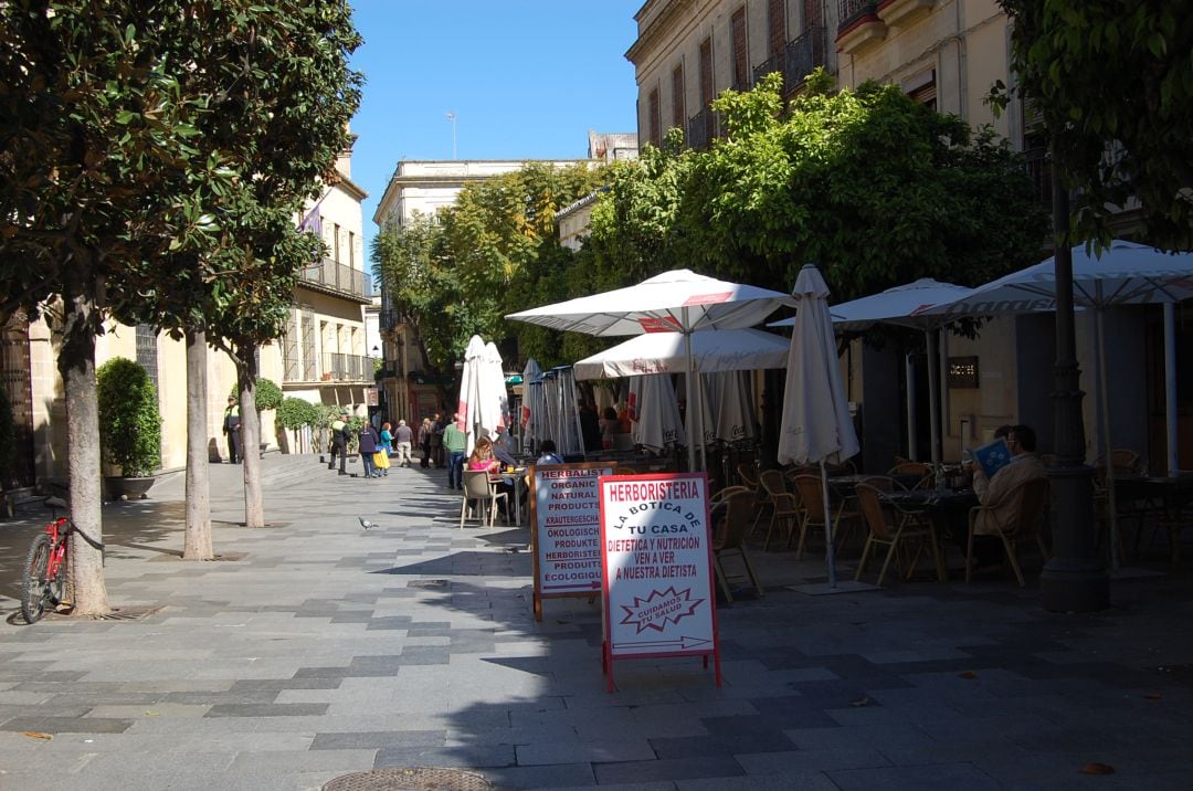 Bares del centro de Jerez