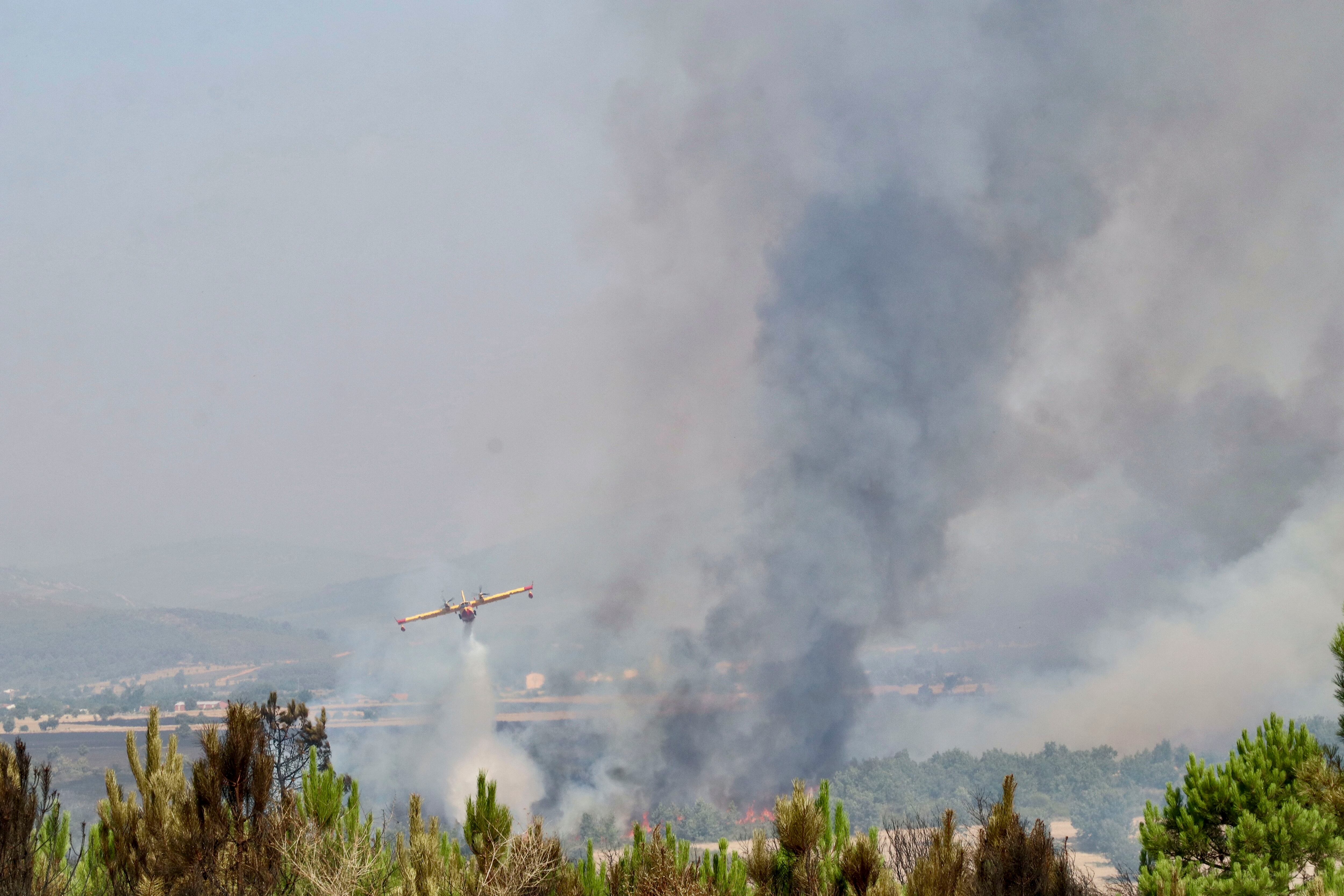 Incendio esta semana en Zamora. EFE/Mariam A. Montesinos