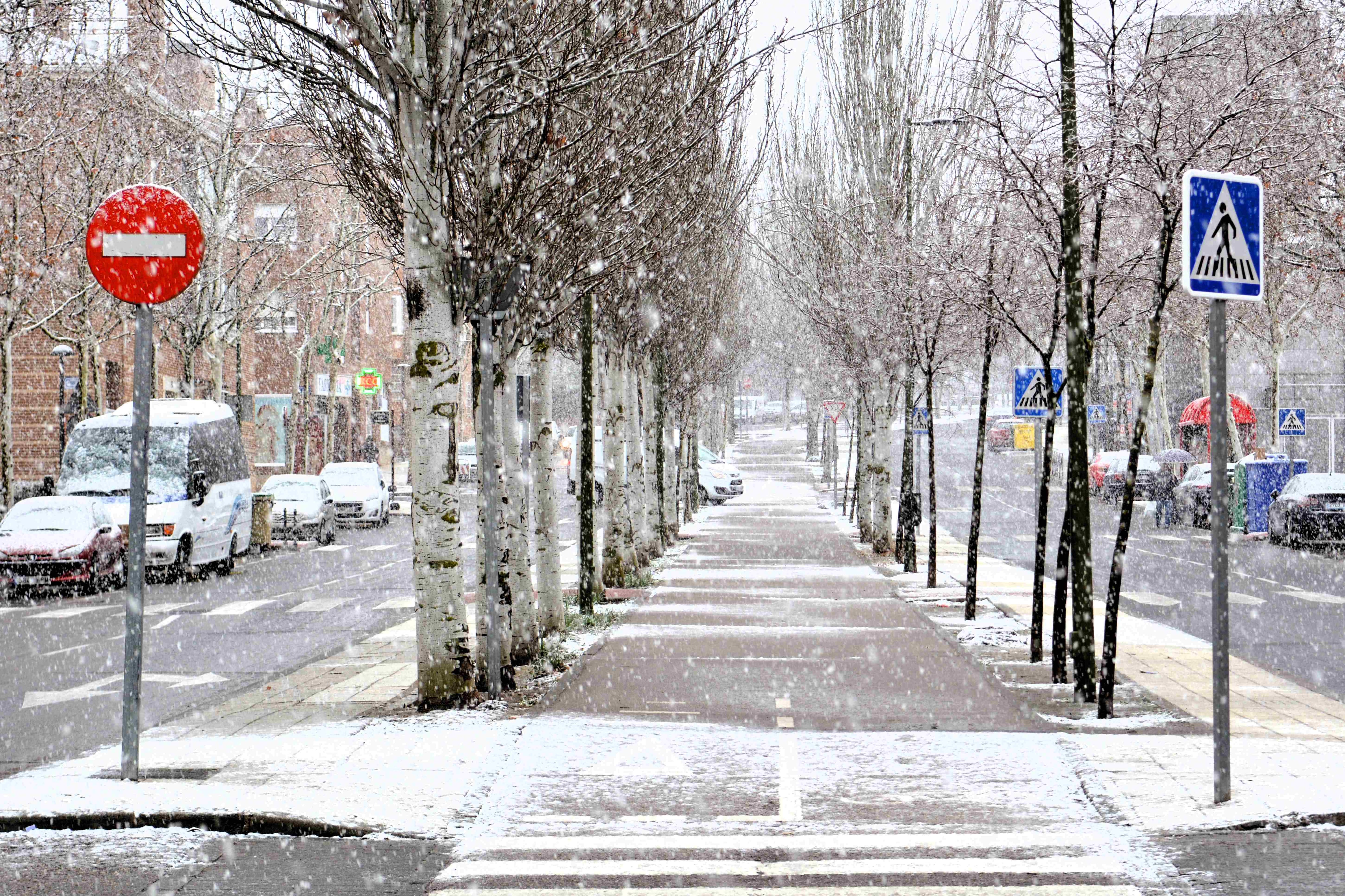 Nieve en San Sebastián de los Reyes