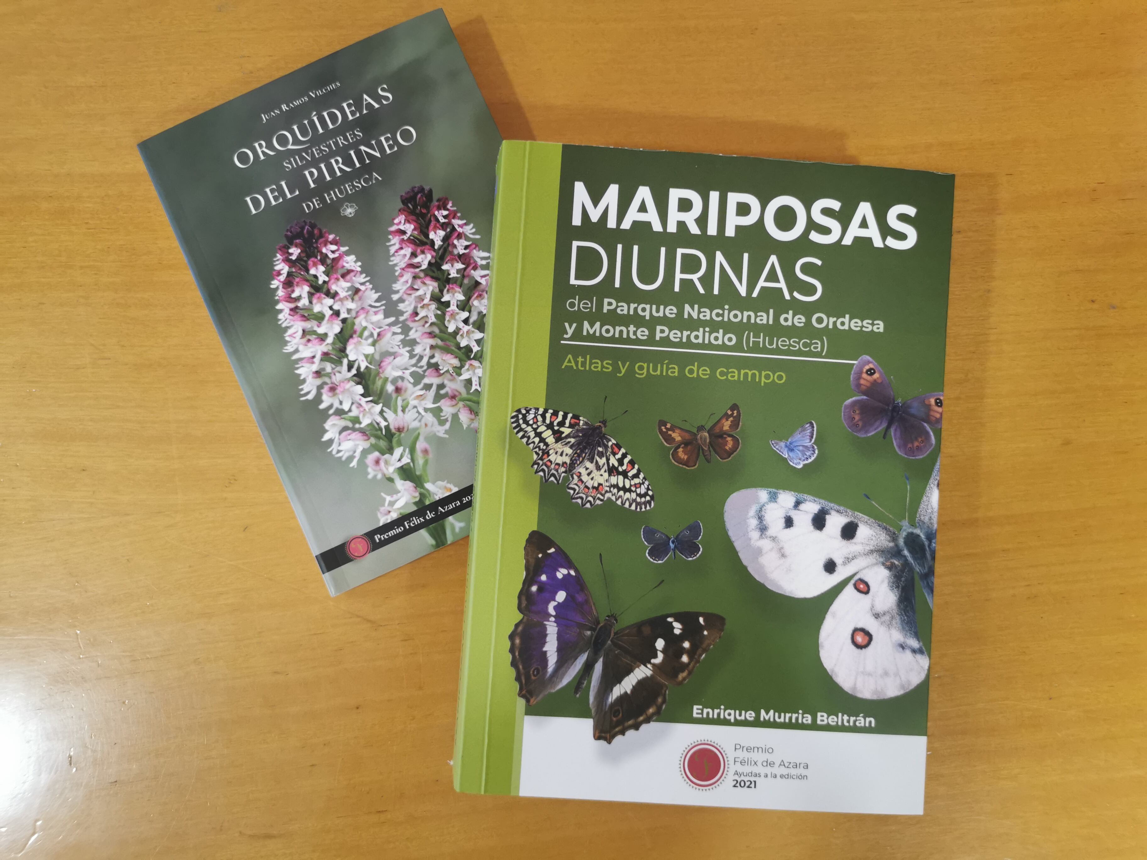 Nuevas publicaciones que ha sacado la DPH