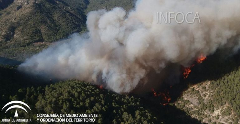 Incendio de Sierra de Segura en el pasado año, 2017. 