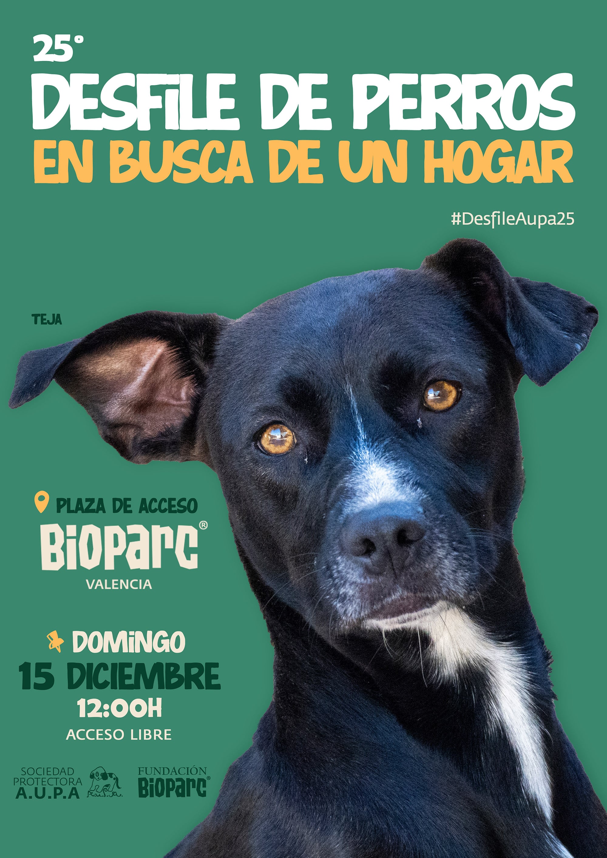 25º desfile de perros en busca de un hogar de A.U.P.A. y Fundación BIOPARC