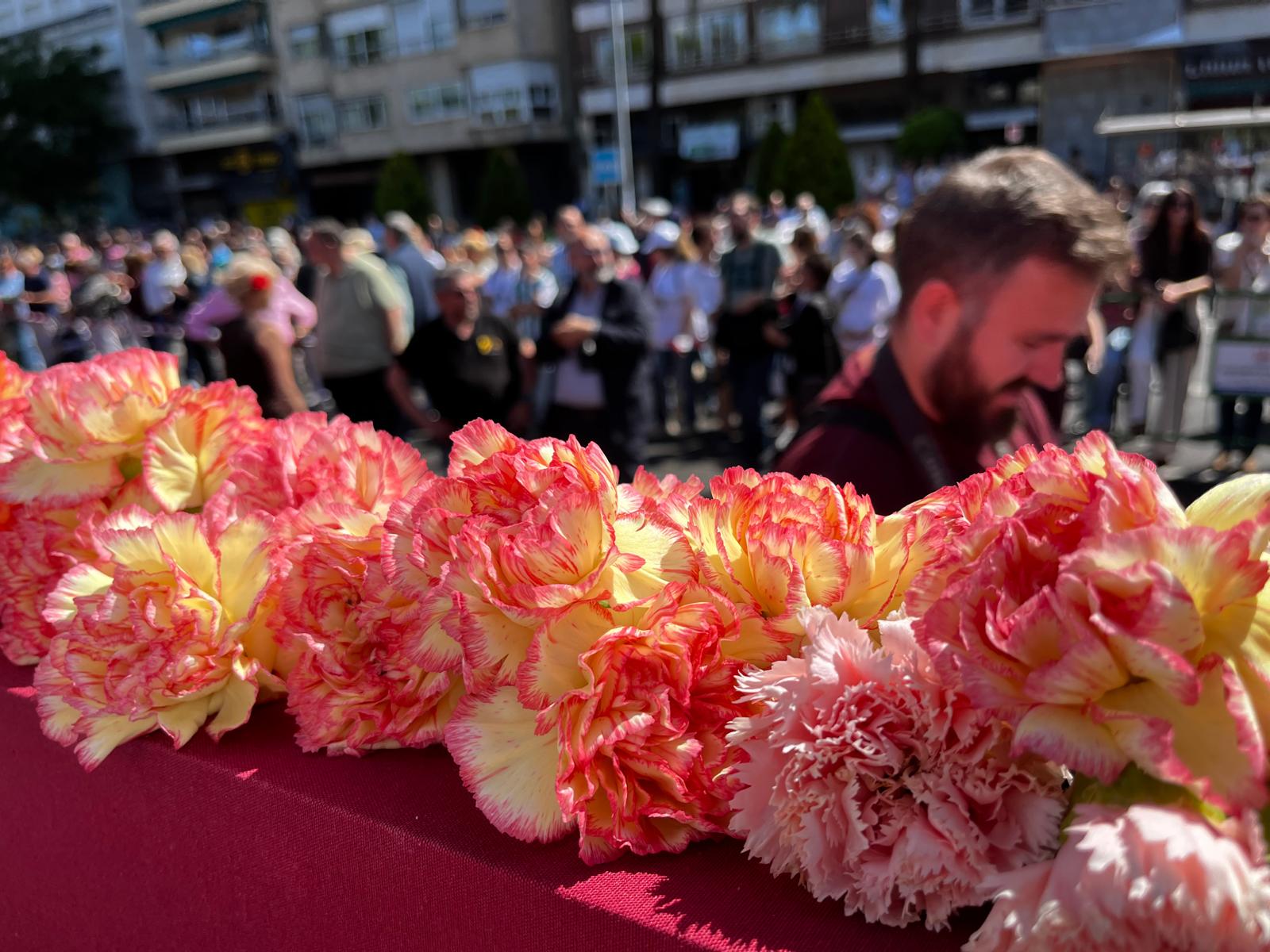 Claveles de la Batalla de las Flores (A.M.)