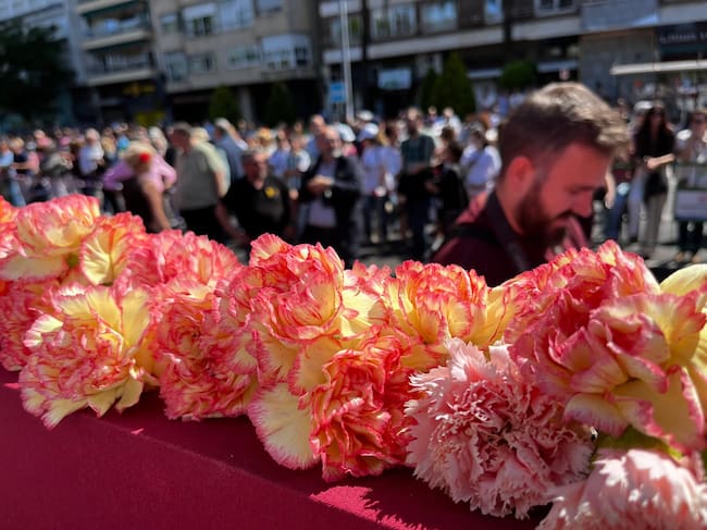 Claveles de la Batalla de las Flores (A.M.)