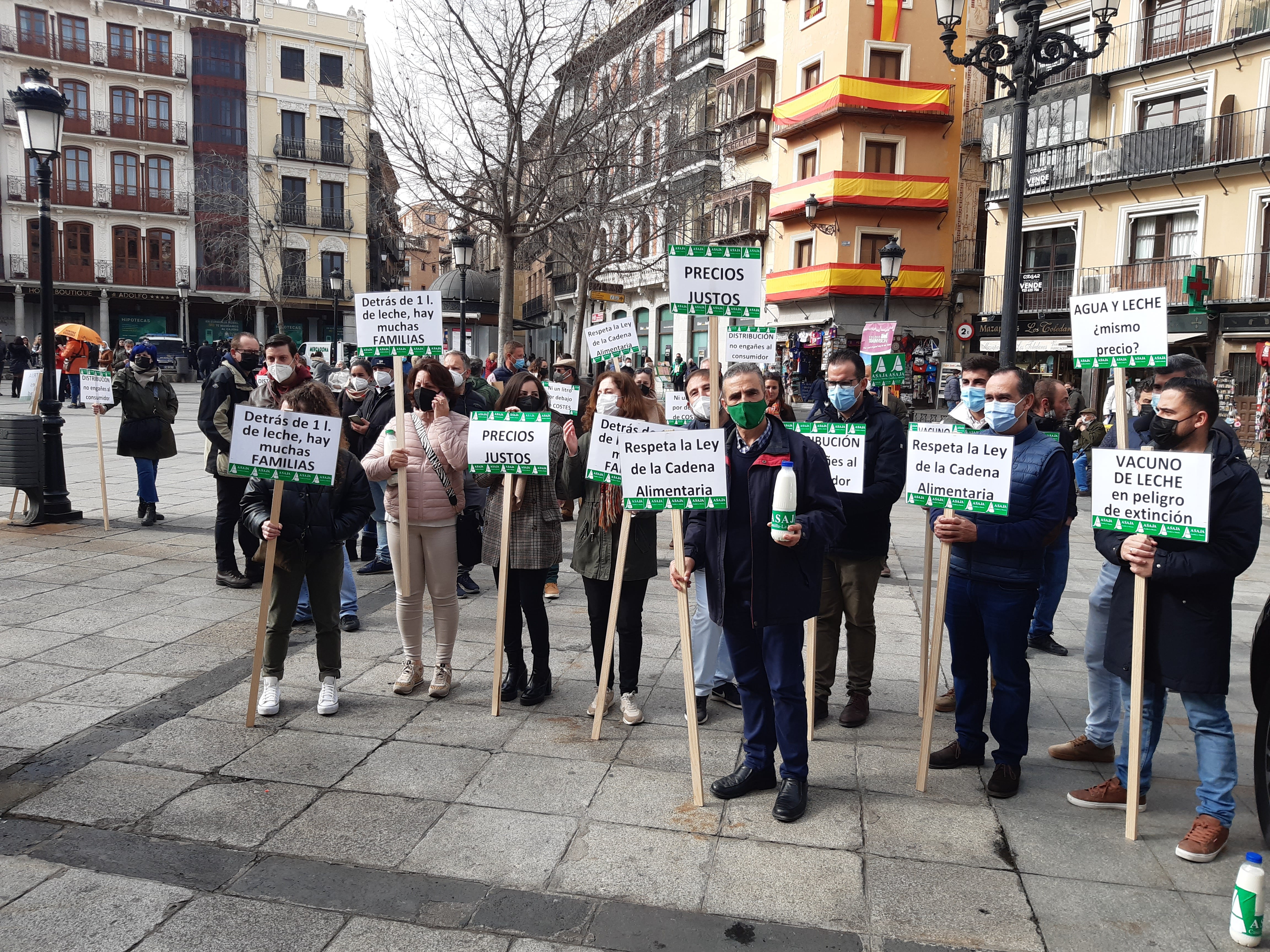 Manifestación de los ganaderos de vacuno en Toledo