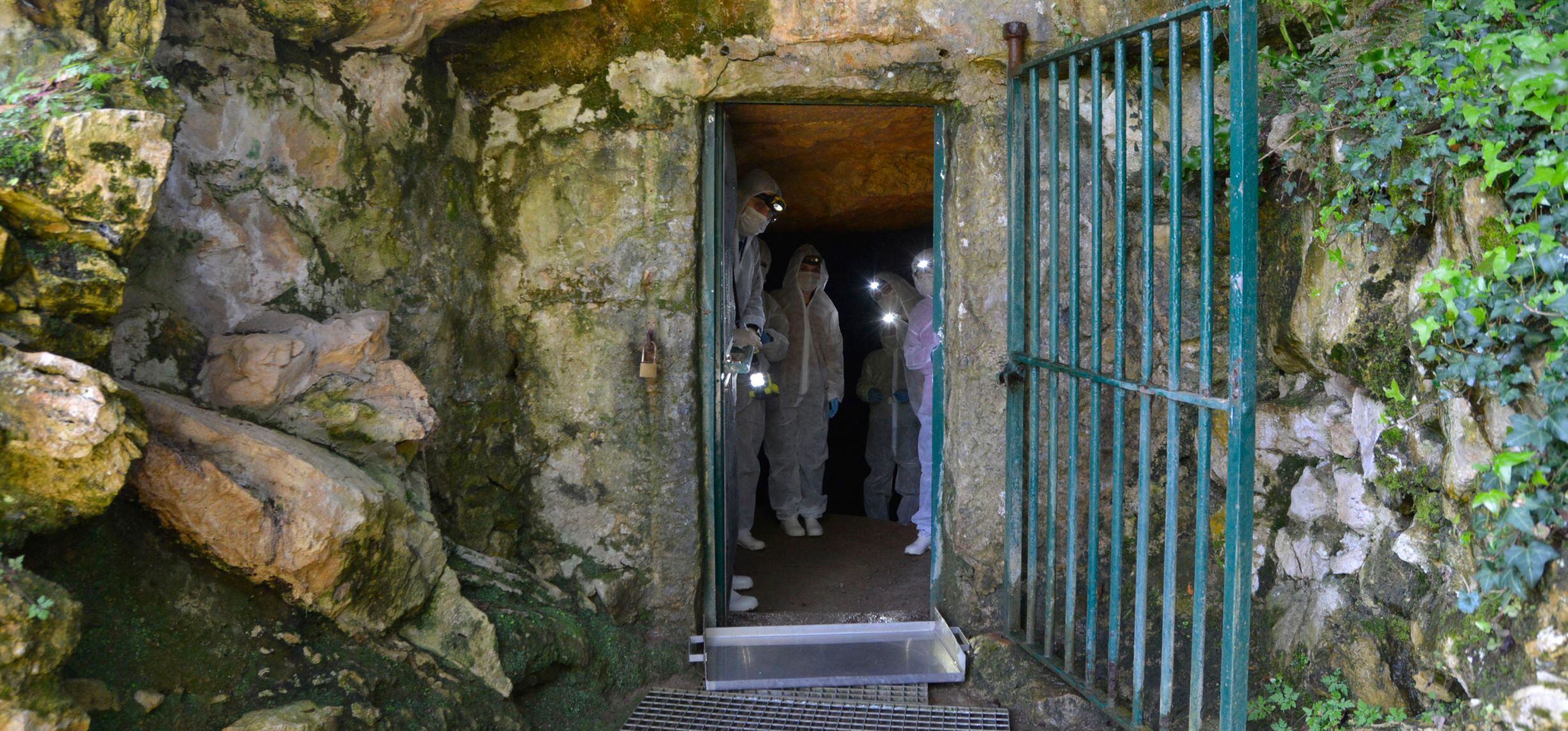 Acceso a la cueva original de Altamira.