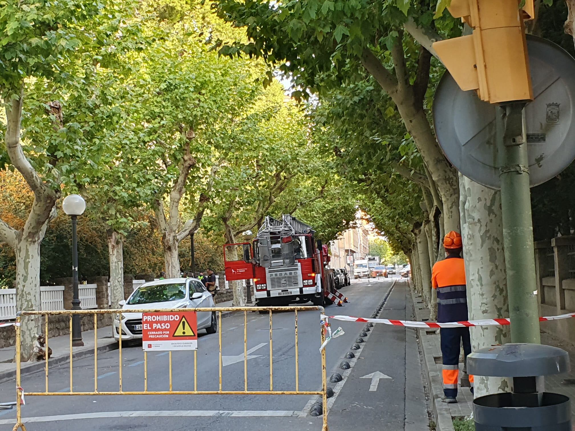 La calle del Parque, cortada para realizar poda