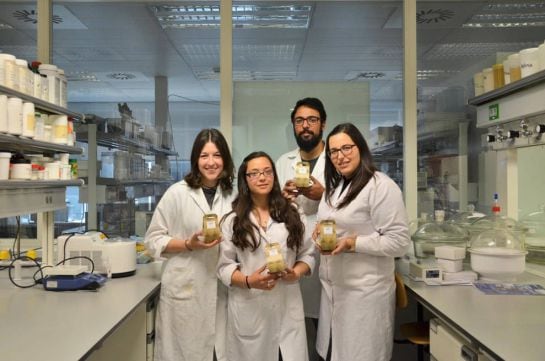 El equipo del proyecto ALMUS de la UPV