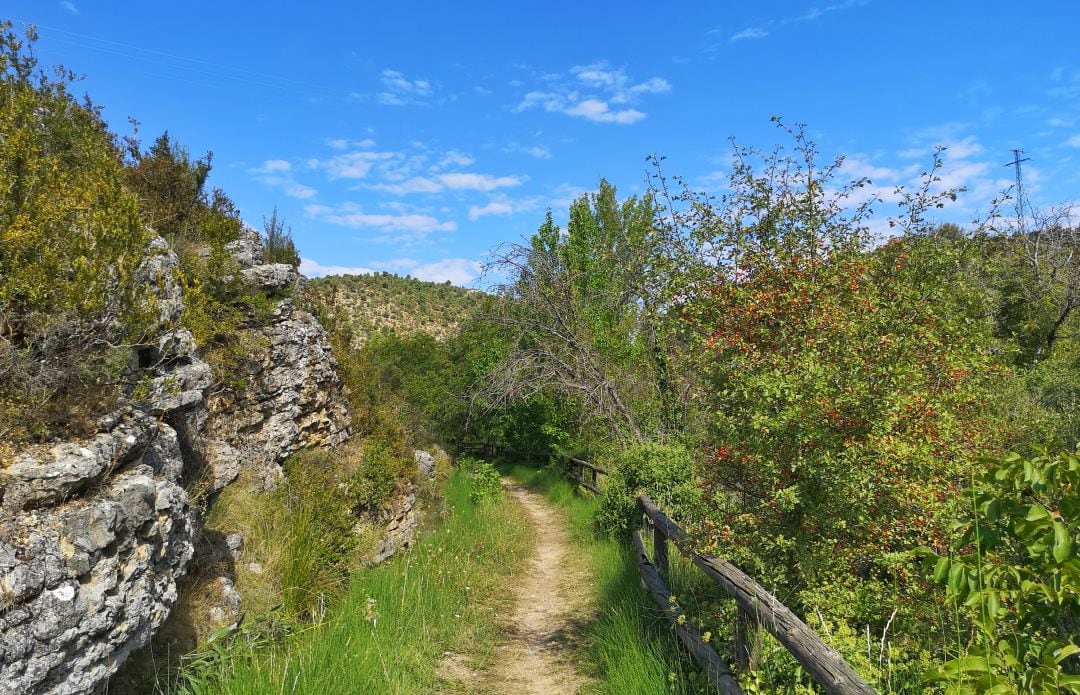 La ruta de la marcha Blume sube a Collado Bajo en Huerta del Marquesado (Cuenca).