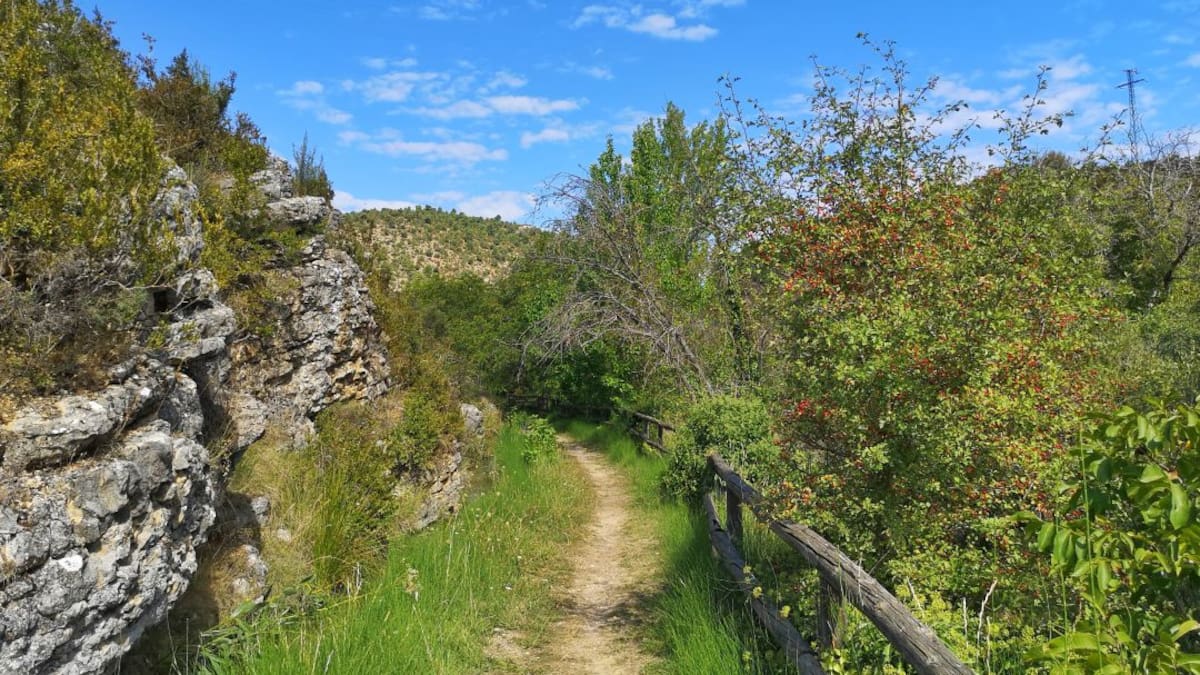 La marcha Blume, una ruta entre nogales, pinos y helechos hasta Collado Bajo