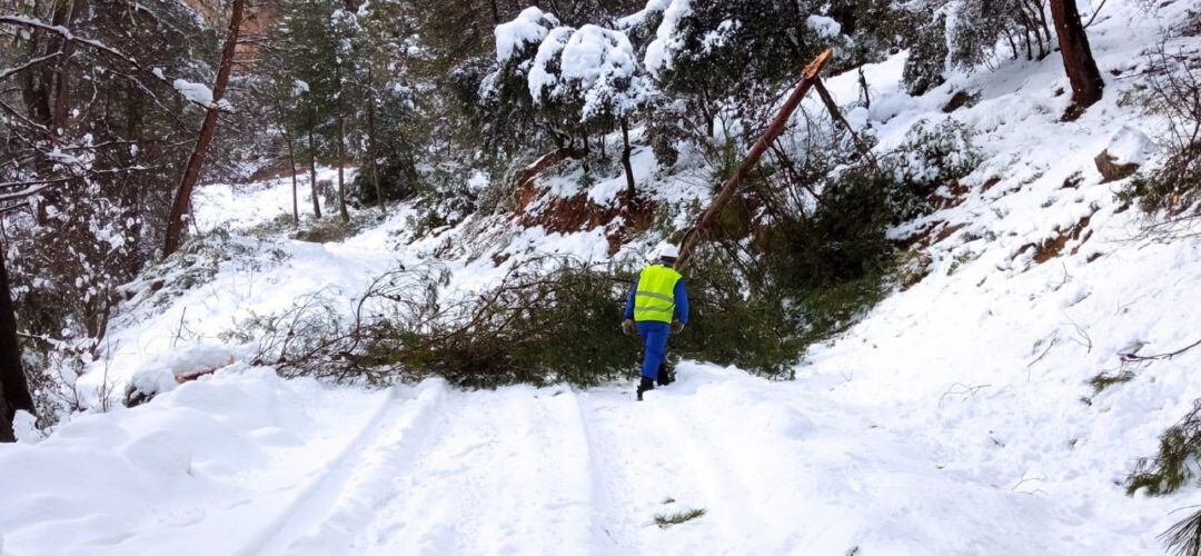 Trabajadores retirando obstáculos de la carretera para el rescate de las aldeas incomunicadas.