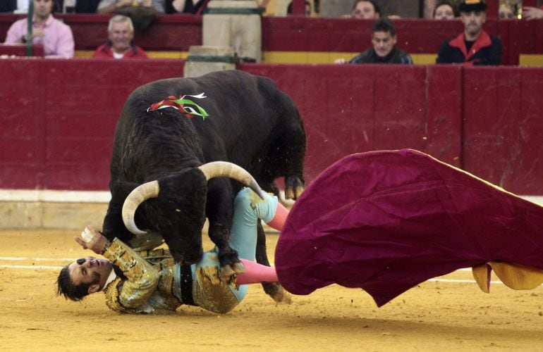 El diestro Juan José Padilla es cogido en la faena a su primer toro, de la ganadería Núñez del Cuvillo, durante la corrida de la Feria del Pilar de Zaragoza.