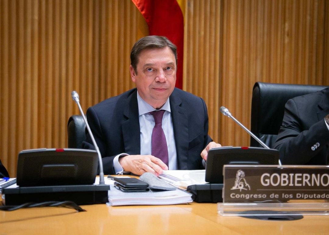 El ministro de Agricultura, Pesca y Alimentación, Luis Planas, durante su comparecencia en la Comisión de Agricultura del Congreso de los Diputados