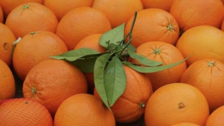 Se multiplica el consumo de naranjas en Europa