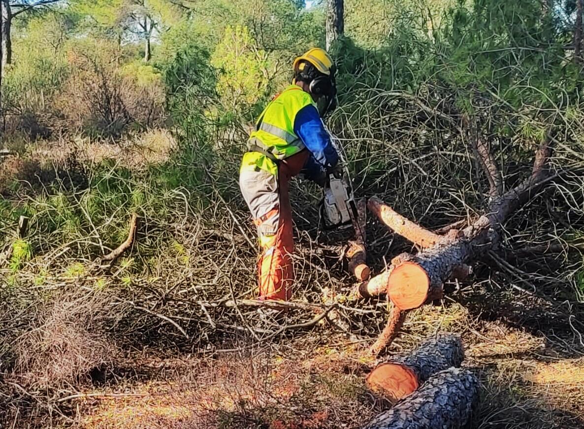 Trabajos de la Agencia de Medio Ambiente y Agua