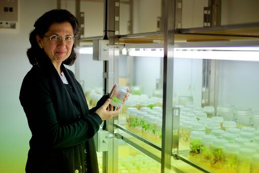 Imagen de la profesora fallecida