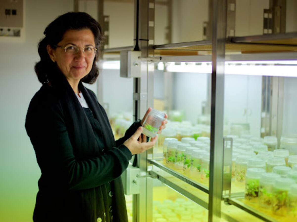 Muere Rosario Sierra, profesora del campus de Palencia y exdirectora de Agrarias