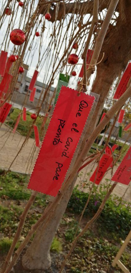 Mensaje en el árbol de los deseos