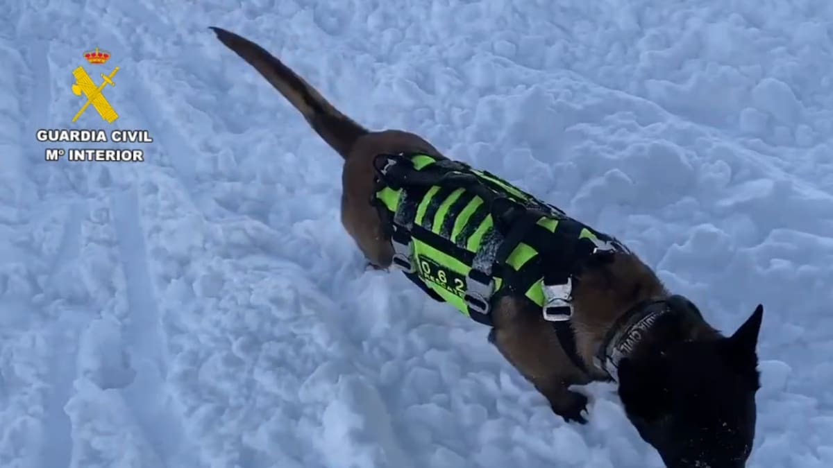 Escucha la entrevista a Agustín Larrea, Geólogo: