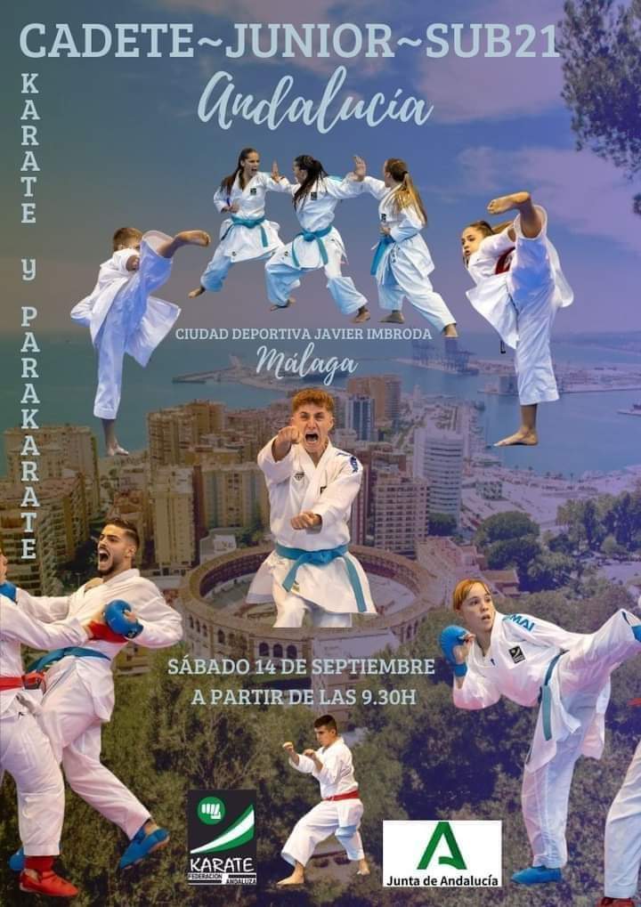 Cartel del campeonato que se celebra en Málaga