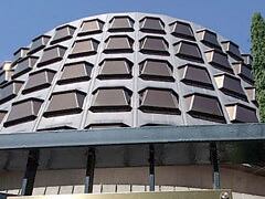 Tribunal Constitucional