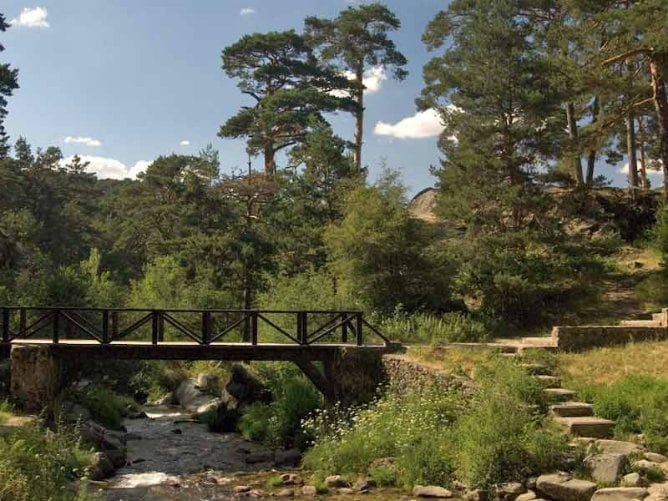 Real Sitio de San Ildefonso-El Espinar (España)