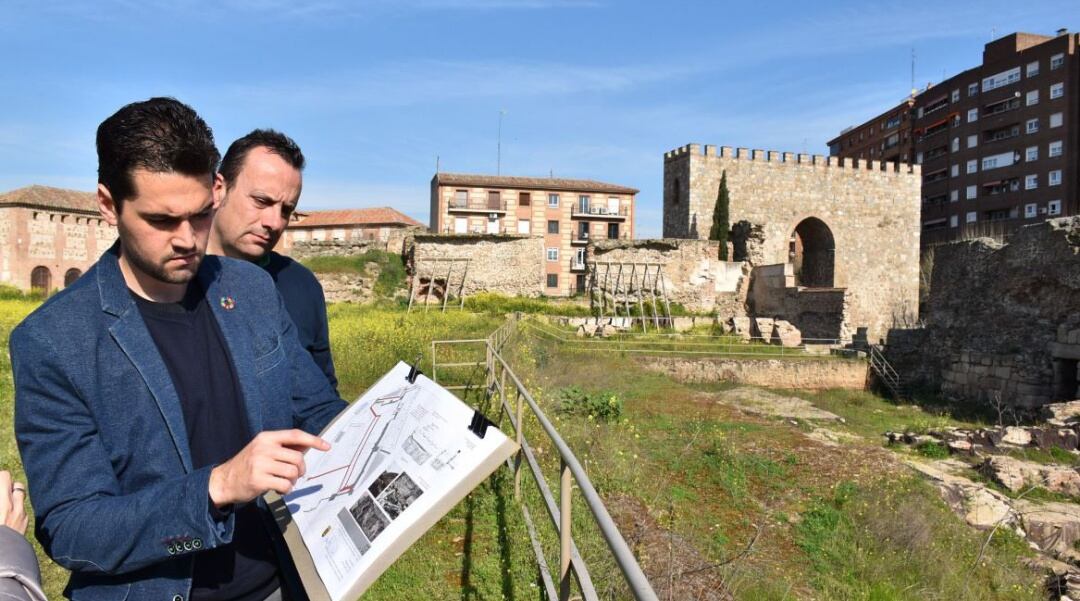 La Alcazaba es uno de los lugares elegidos para el desbroce (Archivo)