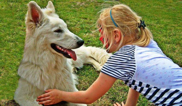 Los perros de asistencia consiguen mejorar la calidad de vida de sus usuarios