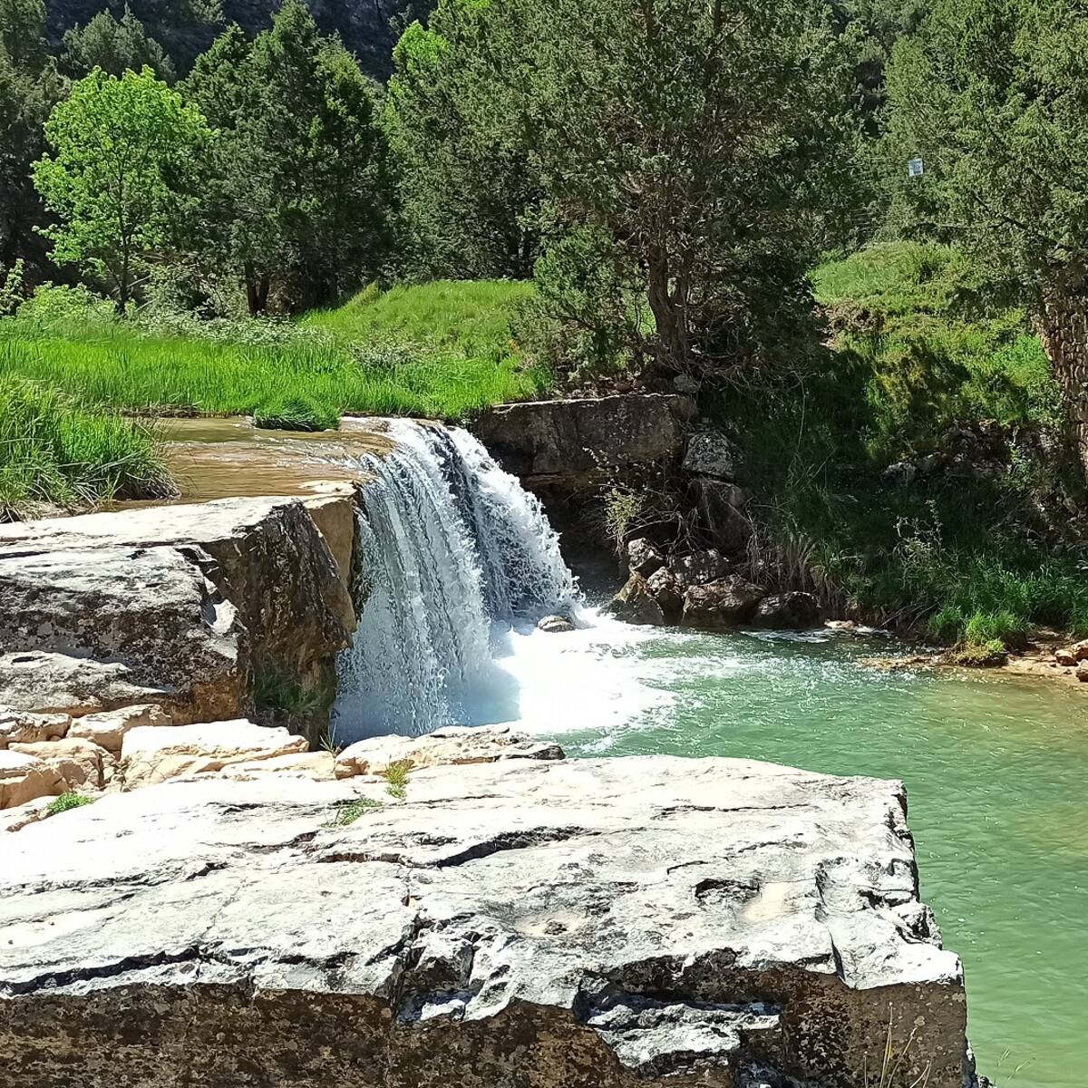 Dispuestos a llegar a Europa contra la instalación de una planta avícola en Maranchón