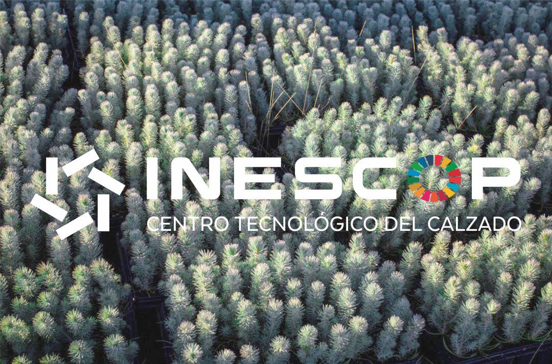 Inescop es pionero en obtener el sello del MITECO 