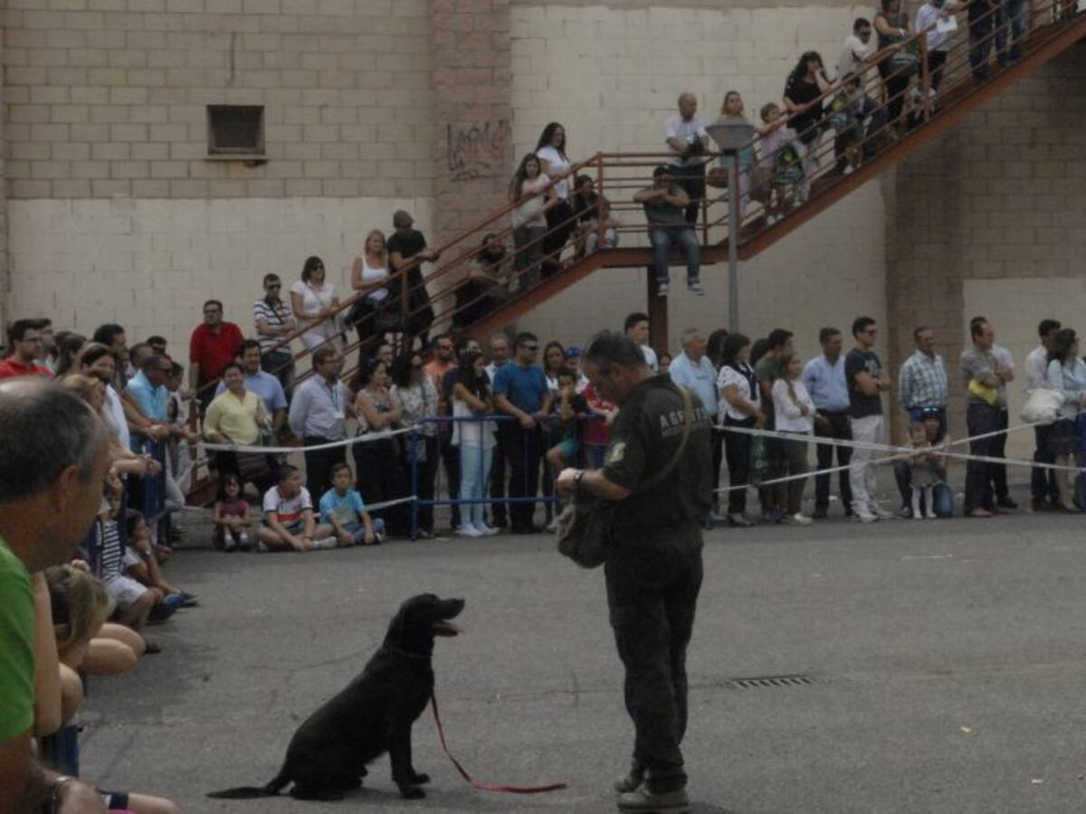 Fecircatur 2016, un reclamo para toda la familia