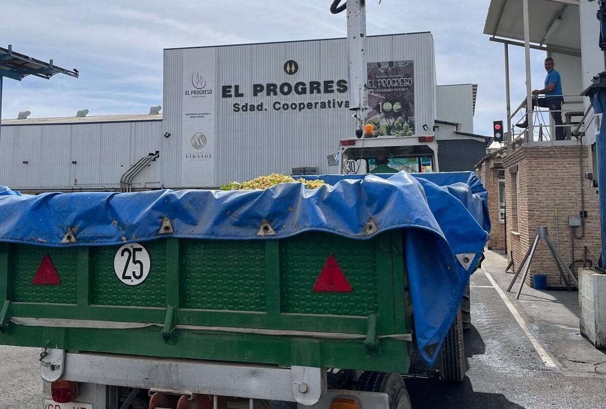 Maquinaria trabajando en la Cooperativa
