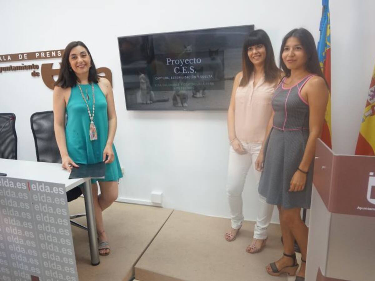 Elda iniciará el proyecto de captura, esterilización y suelta de gatos