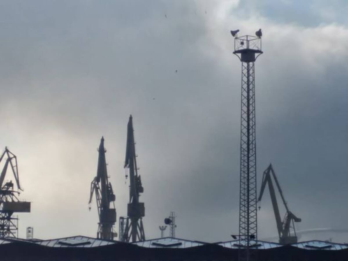 Alto seguimiento de la huelga del metal en la Bahía de Cádiz