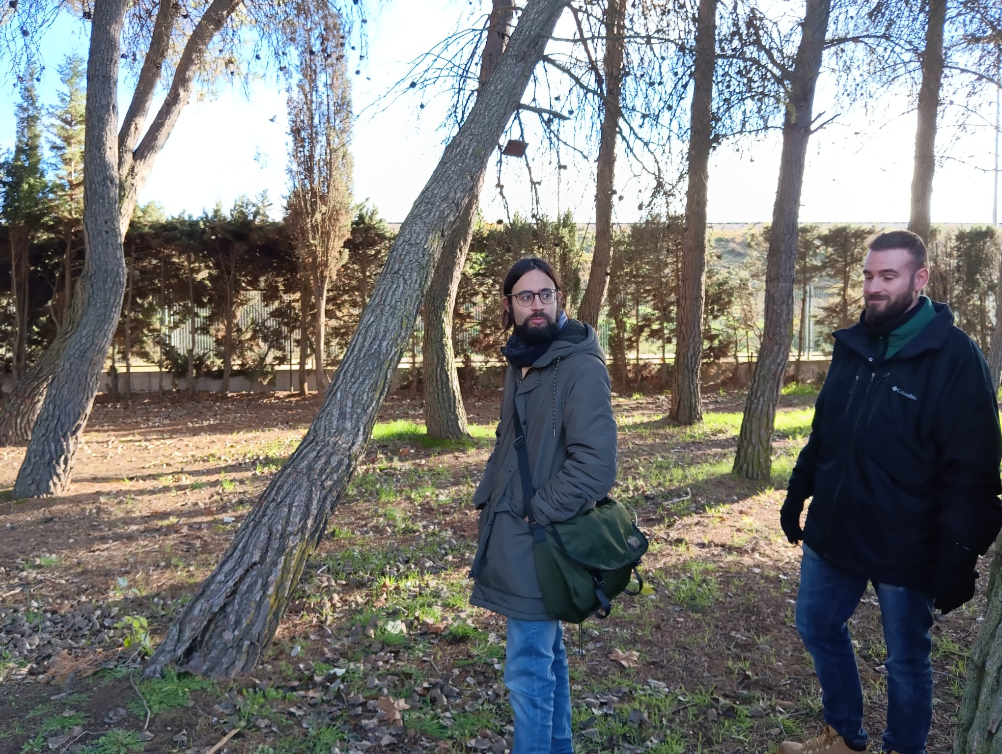 Parque General Gutiérrez, Aranda