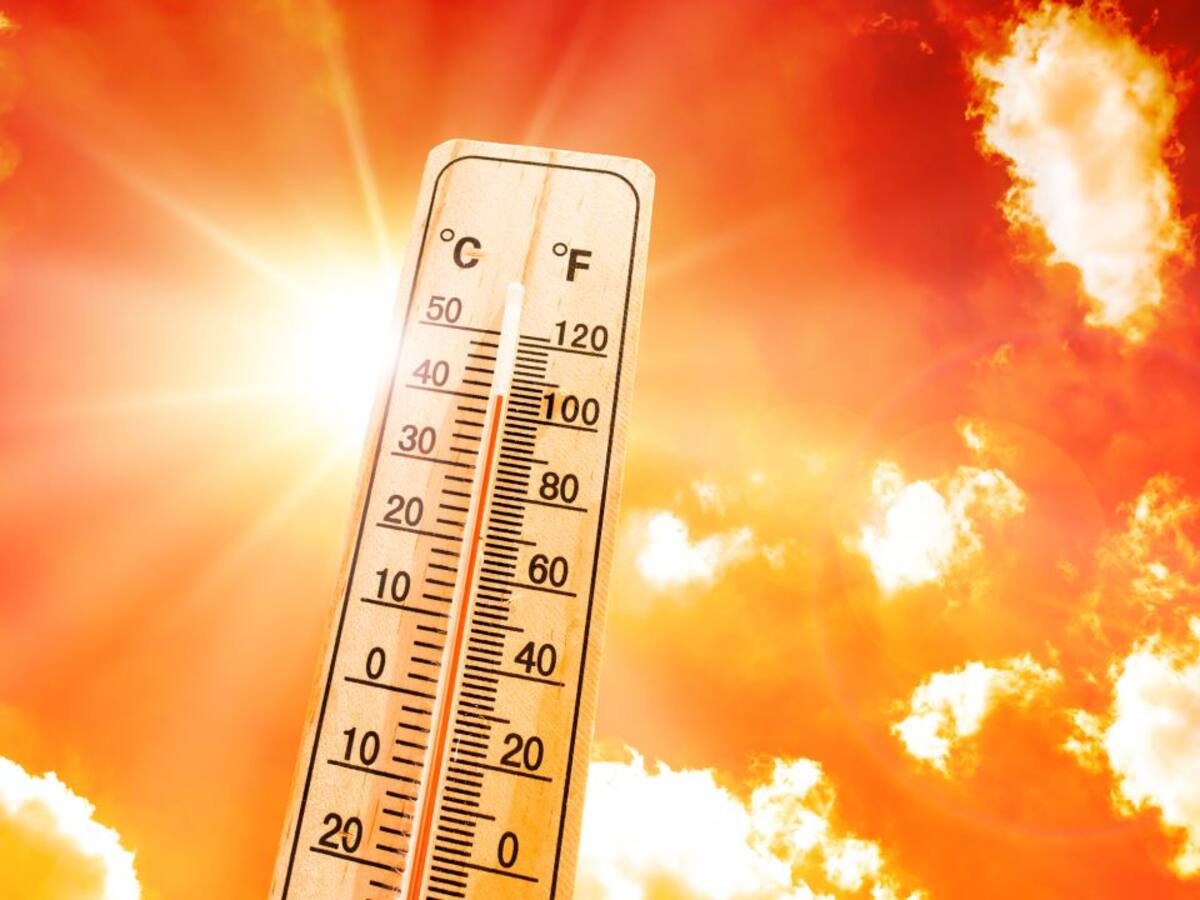 La Junta declara alerta de riesgo de incendios forestales el domingo en toda la Comunidad