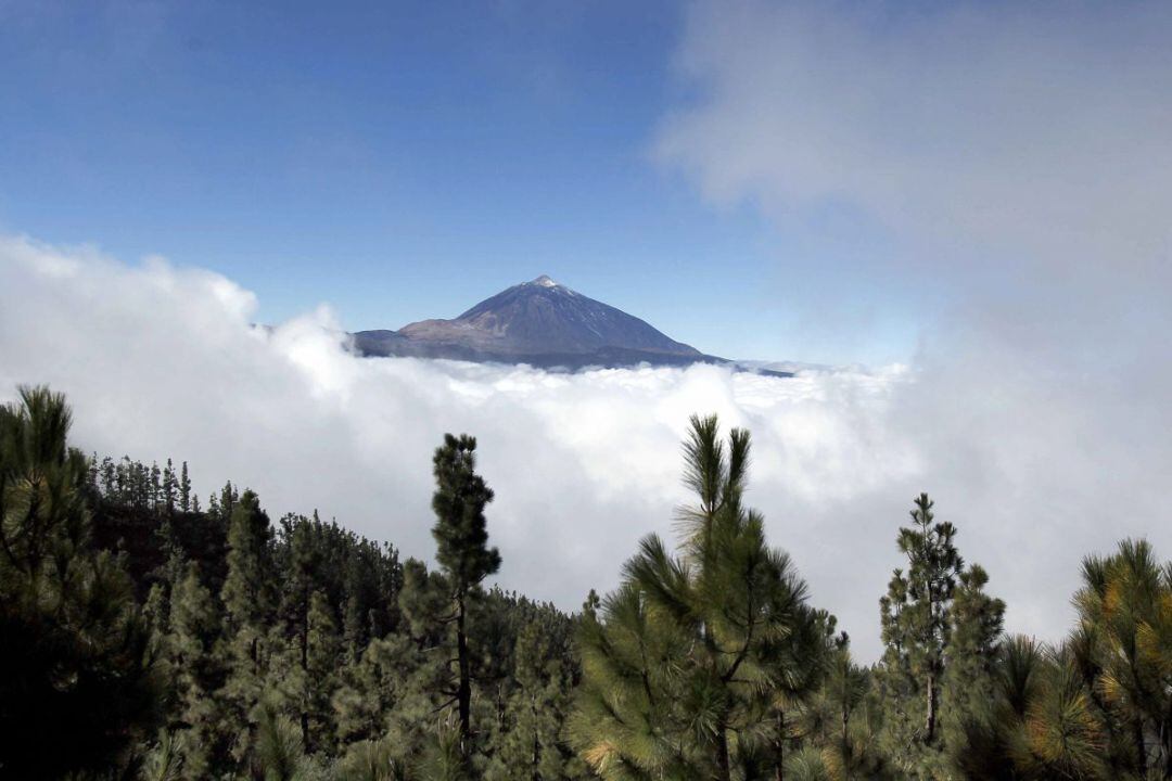 Parque Nacional del Teide. 