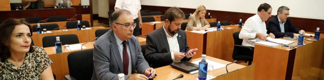 Integrantes de la Comisión no permanente sobre Despoblación