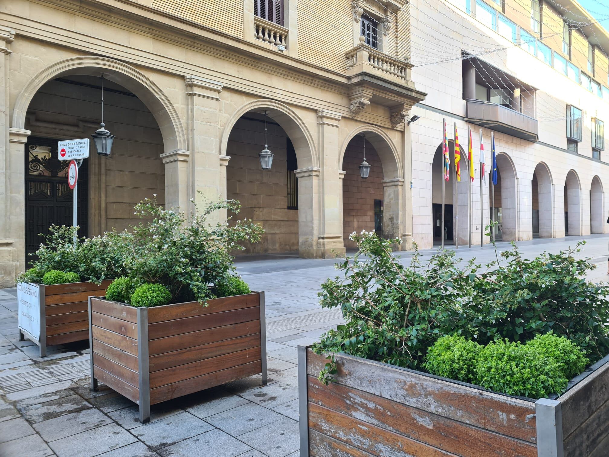 Se han instalado plantas de albahaca en diferentes puntos de Huesca