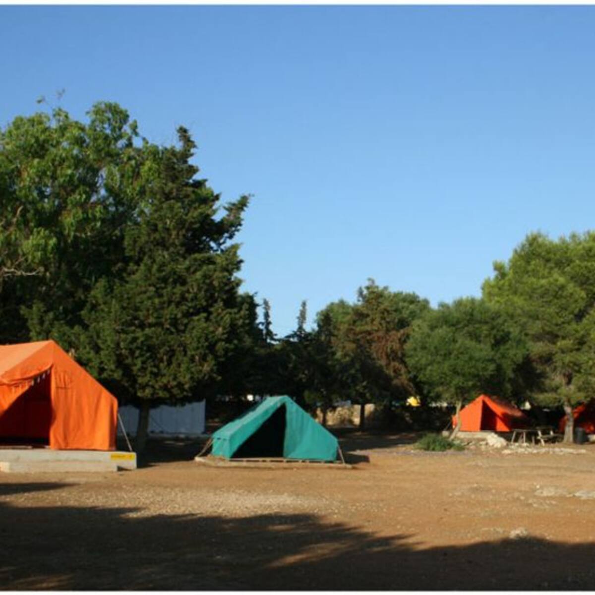 Biniparratx reabrirá el proximo año